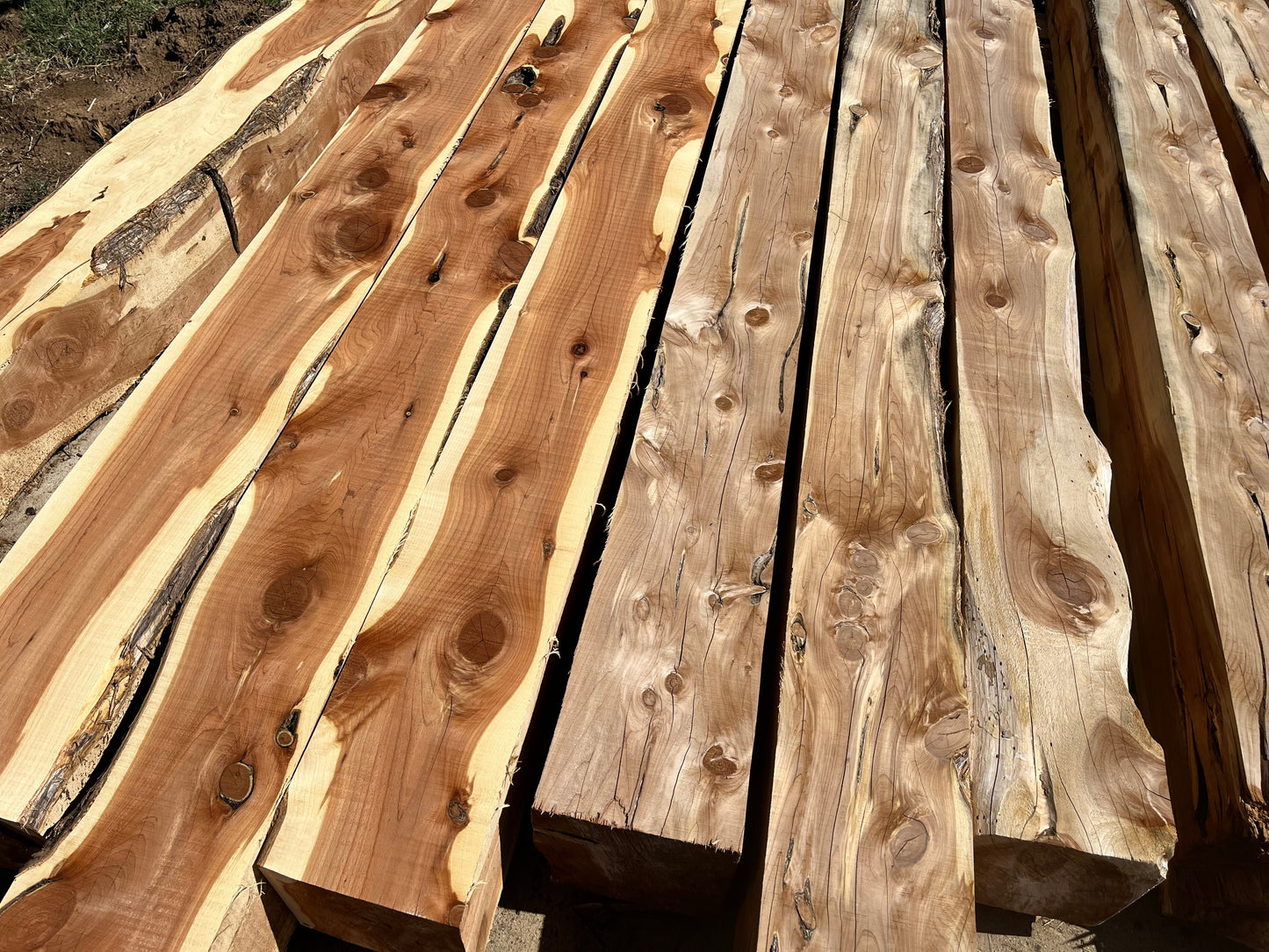 Eastern Red Cedar Beams