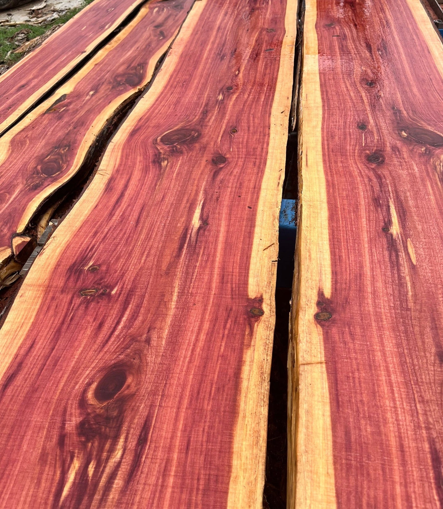 2" Thick Rough Cut Eastern Red Cedar Live Edge Slabs for Charcuterie Boards, Furniture, Table and Bar Tops, Shelves, and More - Kiln Dried