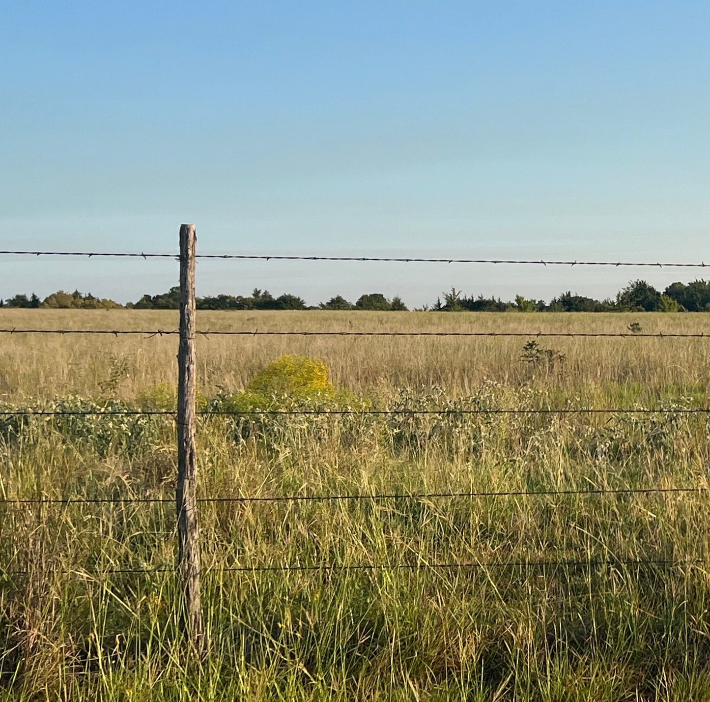 Fence Stay