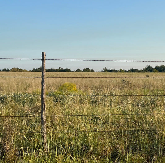 Fence Stay